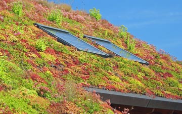 Lower Hamworthy living roof systems